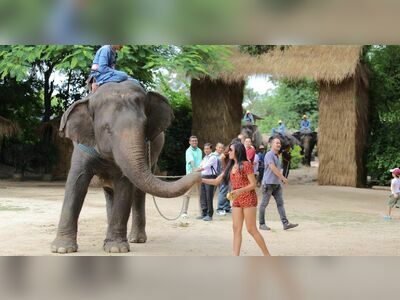 Pattaya Elephant Village, Thailand