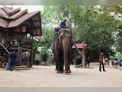Pattaya Elephant Village, Thailand