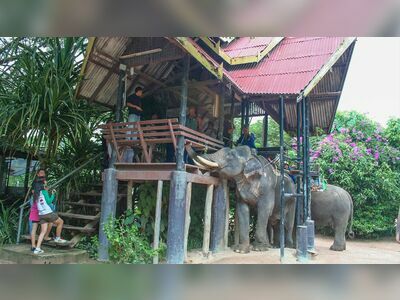 Pattaya Elephant Village, Thailand