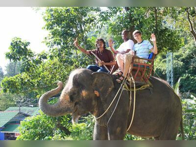 Pattaya Elephant Village, Thailand