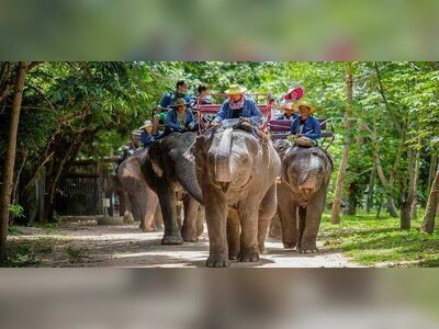 Pattaya Elephant Village, Thailand
