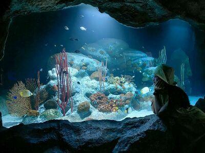 Underwater World Pattaya, Thailand