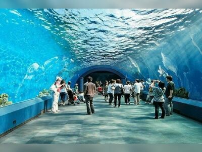 Underwater World Pattaya, Thailand