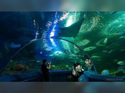 Underwater World Pattaya, Thailand