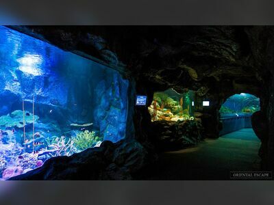 Underwater World Pattaya, Thailand