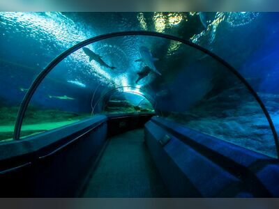 Underwater World Pattaya, Thailand