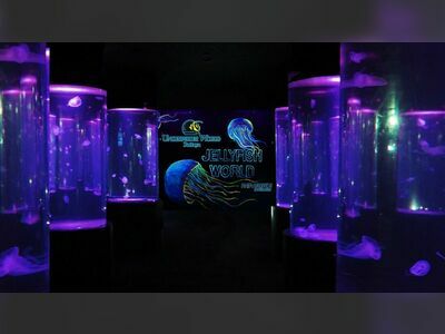 Underwater World Pattaya, Thailand