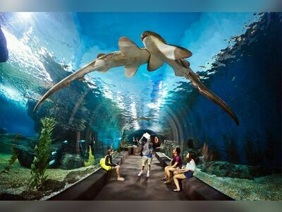 Underwater World Pattaya, Thailand