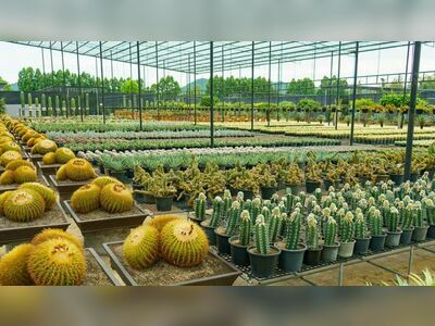 Nong Nooch Tropical Botanical Garden, Pattaya, Thailand