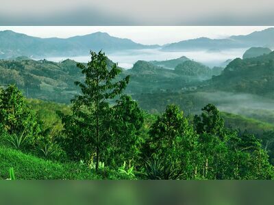 Khao Luang National Park, Nakhon Si Thammarat, Thailand