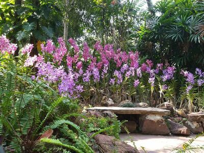 The Blooms Orchid Park, Ratchaburi, Thailand