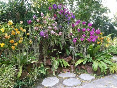 The Blooms Orchid Park, Ratchaburi, Thailand