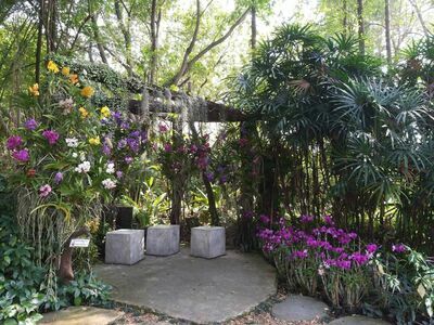 The Blooms Orchid Park, Ratchaburi, Thailand