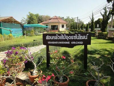 Udon Sunshine Orchid Farm, Udon Thani, Thailand