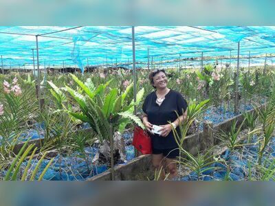 Udon Sunshine Orchid Farm, Udon Thani, Thailand