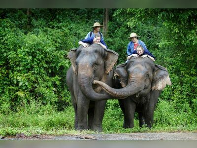 Thai Elephant Conservation Center, Lampang, Thailand