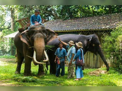 Thai Elephant Conservation Center, Lampang, Thailand