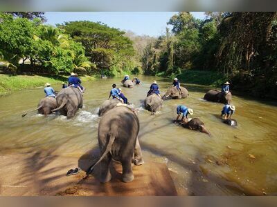 Thai Elephant Conservation Center, Lampang, Thailand