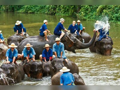 Thai Elephant Conservation Center, Lampang, Thailand