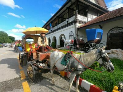 Horse-Drawn Carriage Rides, Lampang, Thailand