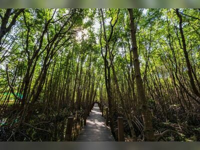 Kung Krabaen Bay Royal Development Study Center, Chanthaburi, Thailand
