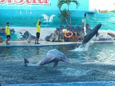 Oasis Sea World, Chanthaburi, Thailand