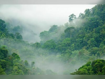 Kaeng Krachan National Park, Phetchaburi, Thailand