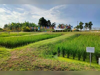 Laem Phak Bia Environmental Research and Development Project, Phetchaburi, Thailand