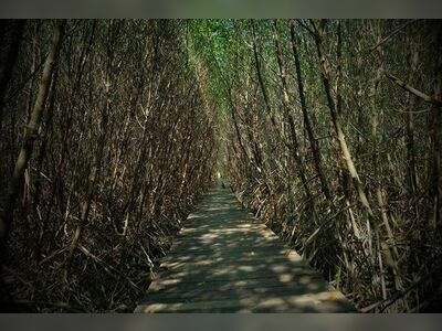 Laem Phak Bia Environmental Research and Development Project, Phetchaburi, Thailand
