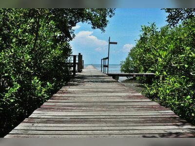 Laem Phak Bia Environmental Research and Development Project, Phetchaburi, Thailand