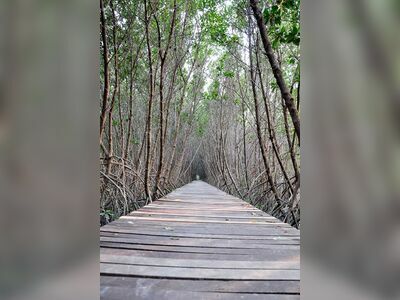 Laem Phak Bia Environmental Research and Development Project, Phetchaburi, Thailand