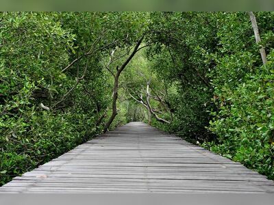 Laem Phak Bia Environmental Research and Development Project, Phetchaburi, Thailand