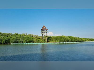 Sky View Tower and Mangrove Research Center, Rayong, Thailand