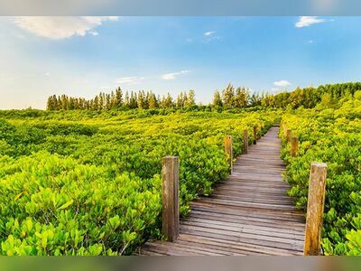 Tung Prong Thong, Rayong, Thailand