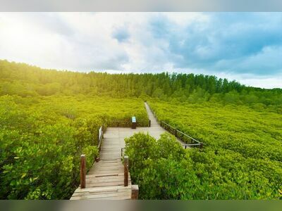 Tung Prong Thong, Rayong, Thailand