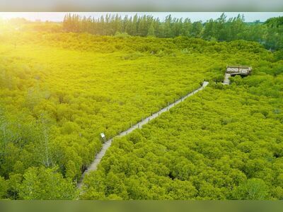 Tung Prong Thong, Rayong, Thailand