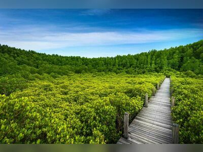 Tung Prong Thong, Rayong, Thailand