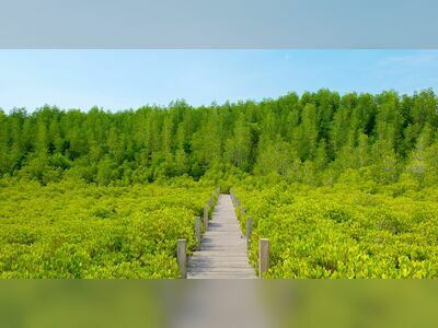 Tung Prong Thong, Rayong, Thailand