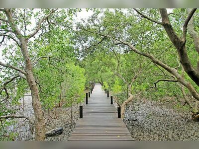 Tung Prong Thong, Rayong, Thailand