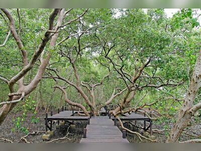 Tung Prong Thong, Rayong, Thailand