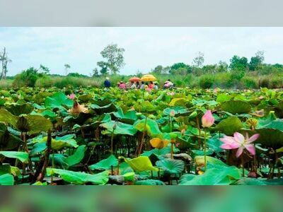 Rayong Botanical Garden, Thailand