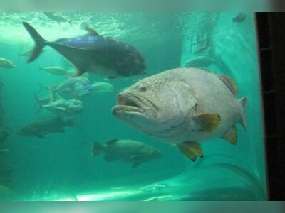 Rayong Aquarium, Thailand