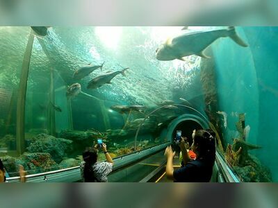 Rayong Aquarium, Thailand