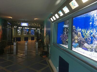 Rayong Aquarium, Thailand