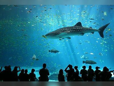 Rayong Aquarium, Thailand