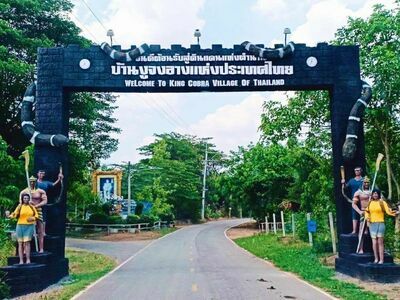 Ban Khok Sa-Nga (King Cobra Village), Khon Kaen, Thailand