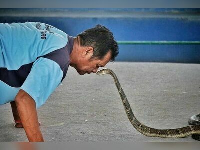 Ban Khok Sa-Nga (King Cobra Village), Khon Kaen, Thailand