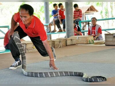 Ban Khok Sa-Nga (King Cobra Village), Khon Kaen, Thailand