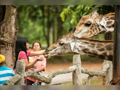 Korat Zoo, Nakhon Ratchasima, Thailand