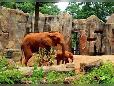 Korat Zoo, Nakhon Ratchasima, Thailand